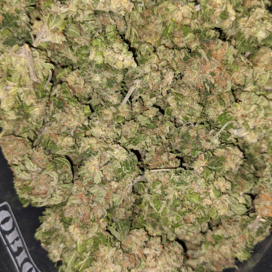 AA+ Bulk Sativa - Image 3