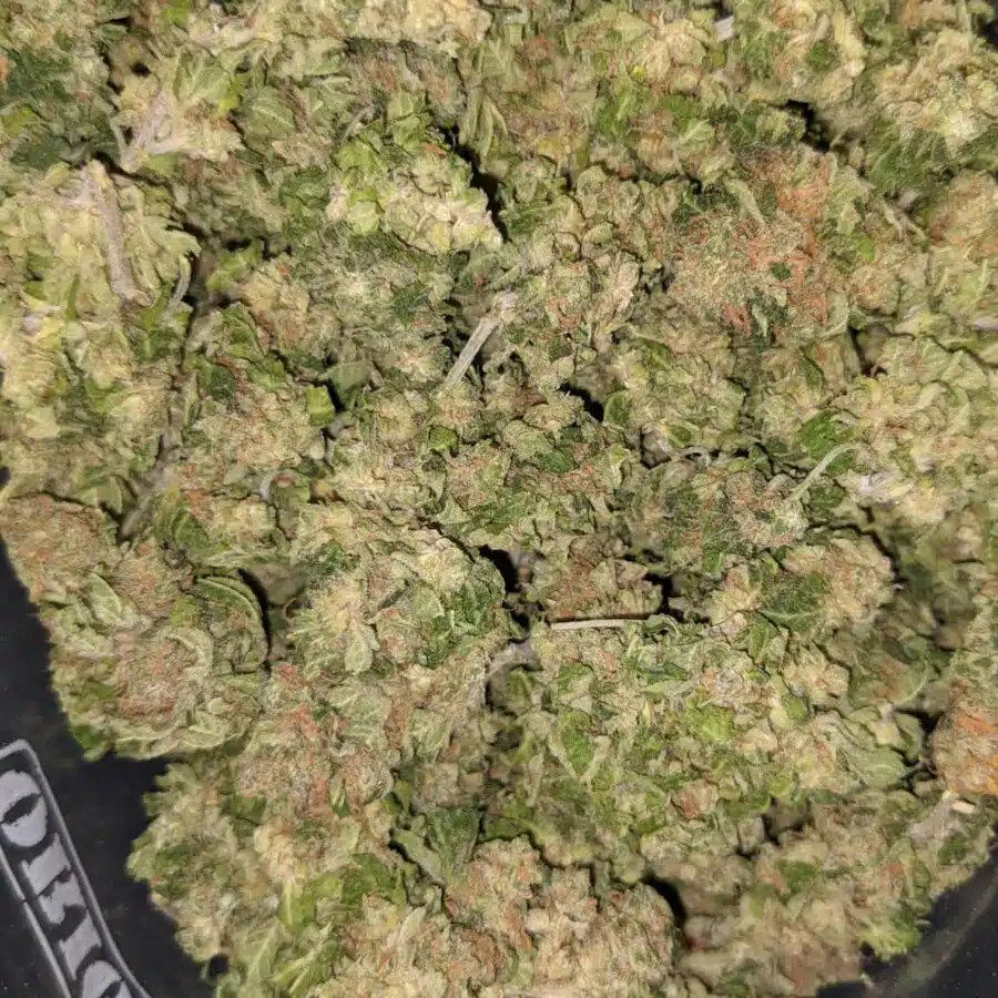 AA BULK SATIVA 2 I AA+ Bulk Sativa