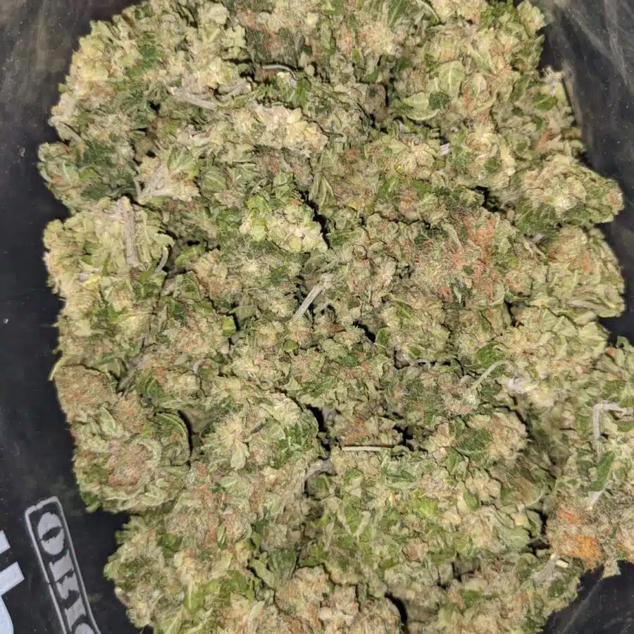 AA BULK SATIVA 3 I AA+ Bulk Sativa