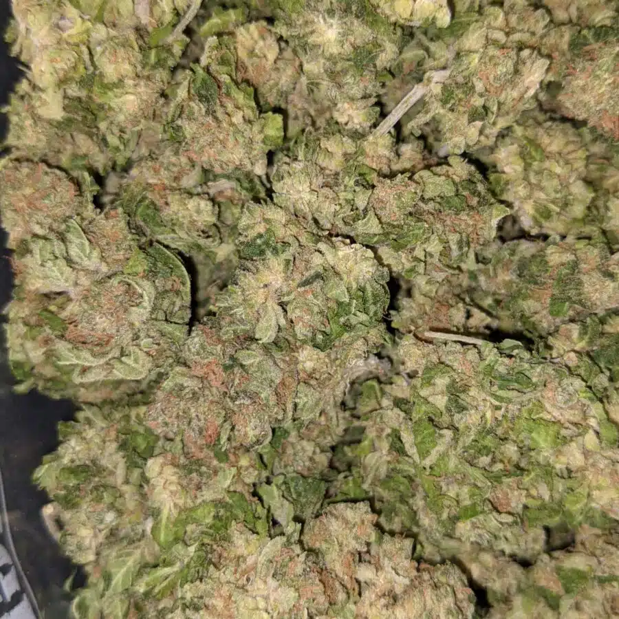 AA BULK SATIVA 4 I AA+ Bulk Sativa