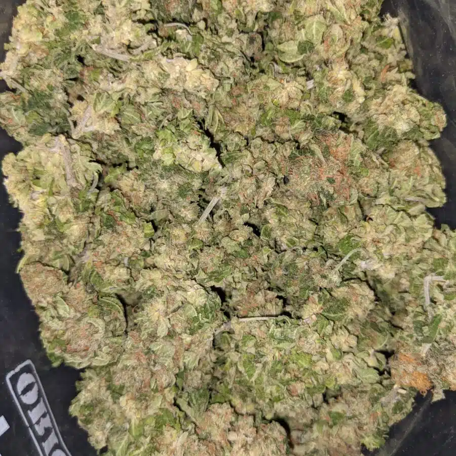 AA BULK SATIVA 5 I AA+ Bulk Sativa