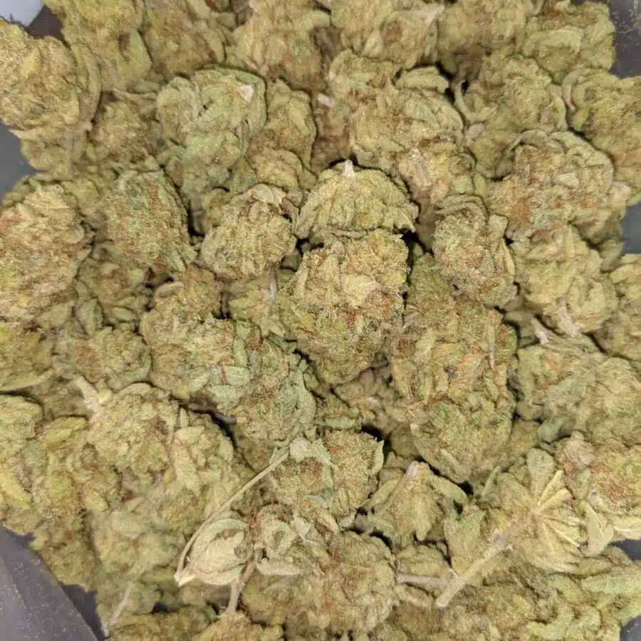 BANANA PIE 2 I Banana Pie