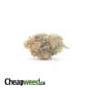 Zedd - *Deal of the Day*