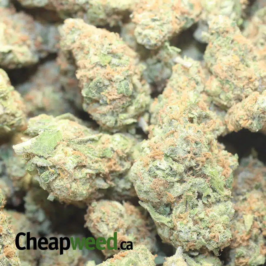 BBP 28 LSD 1 I LSD 27.19% THC
