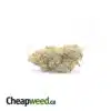LSD 27.19% THC