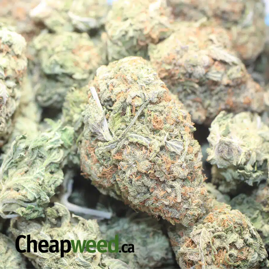 BBP 4.5 4 I $59 Oz - Alaskan Thunderfuck