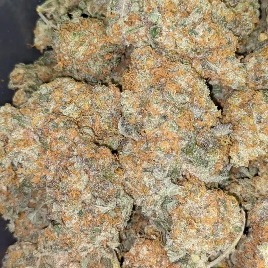 CARMELLA 1 I $109 Oz - Caramella