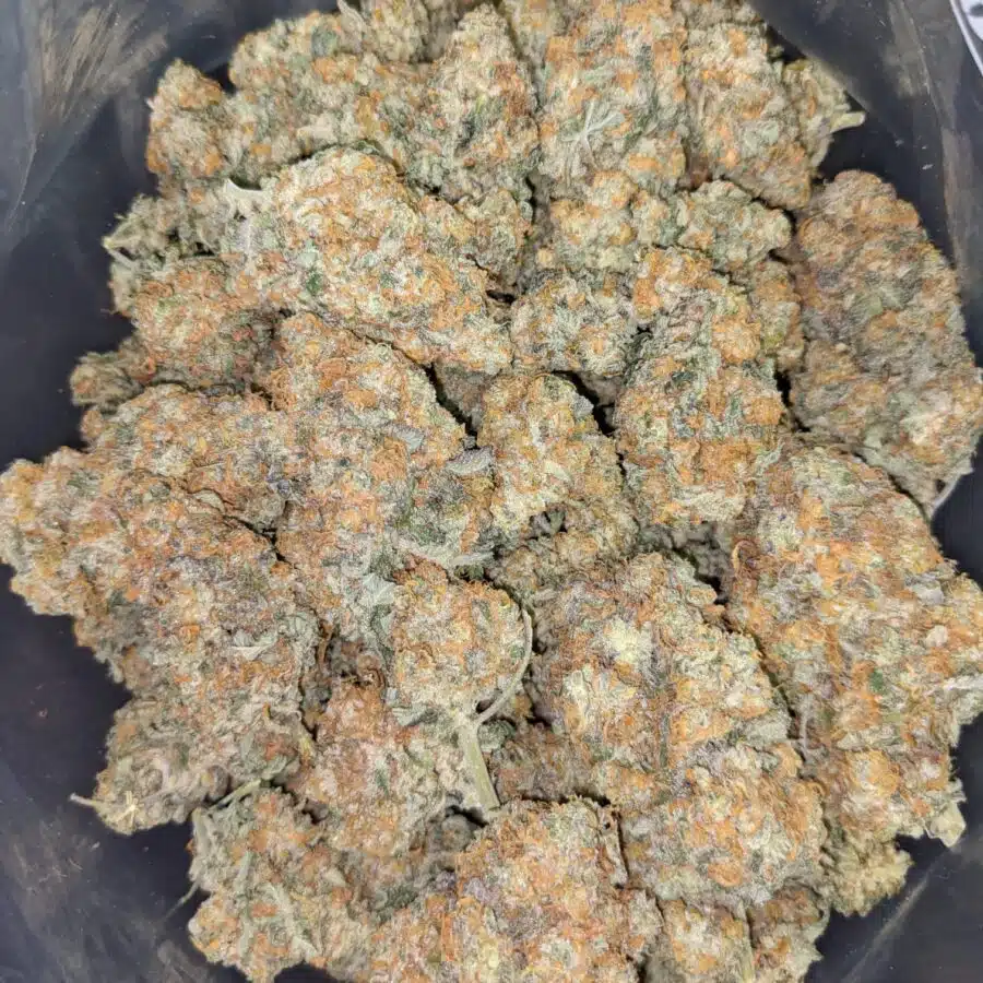 CARMELLA 2 I $109 Oz - Caramella