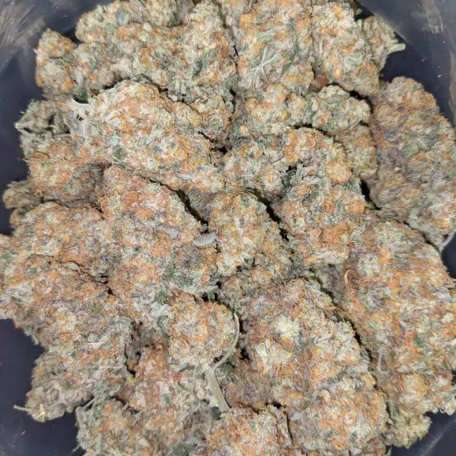 CARMELLA 3 I $109 Oz - Caramella