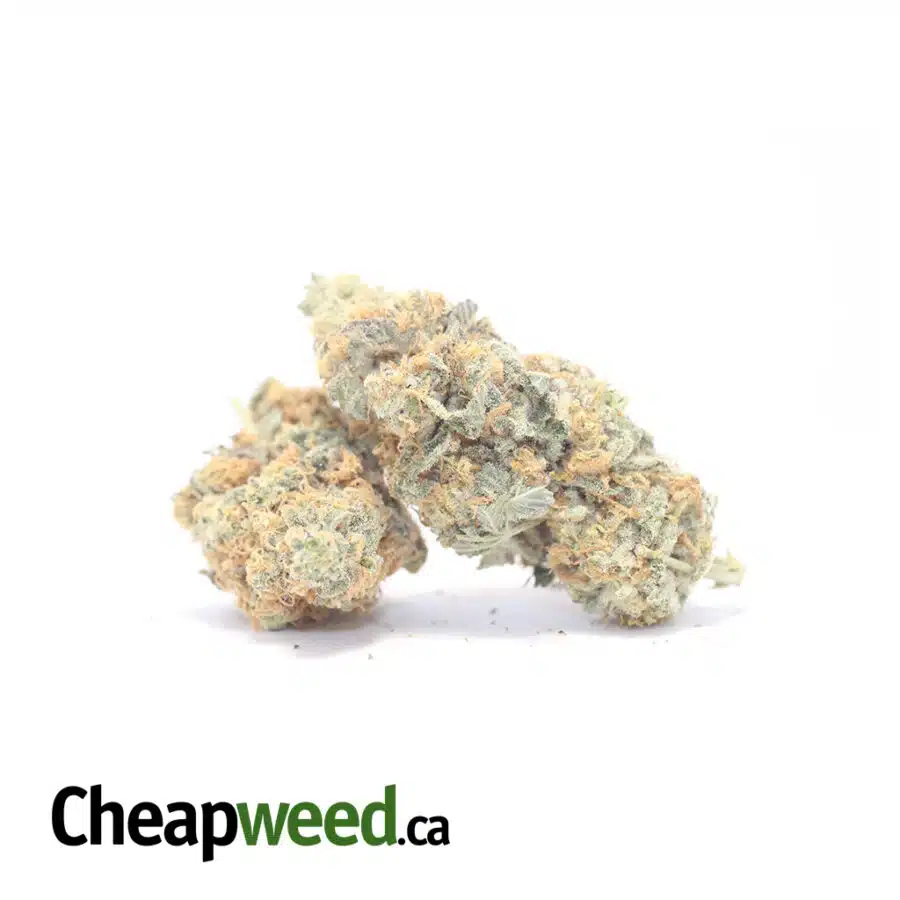 Alternative view of $109 Oz - Caramella