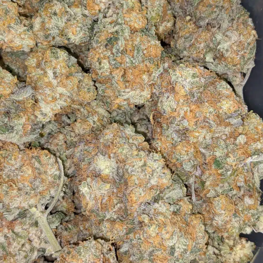 CARMELLA 5 I $109 Oz - Caramella