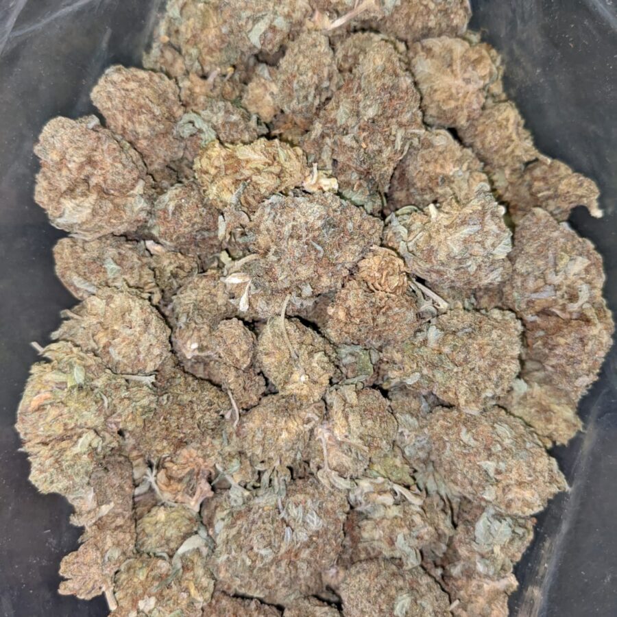 CHEAP SATIVA 4 I Cheap Sativa AA+