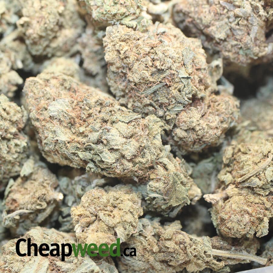 CHEAP WEED SATIVA 1 I Cheap Sativa AA+