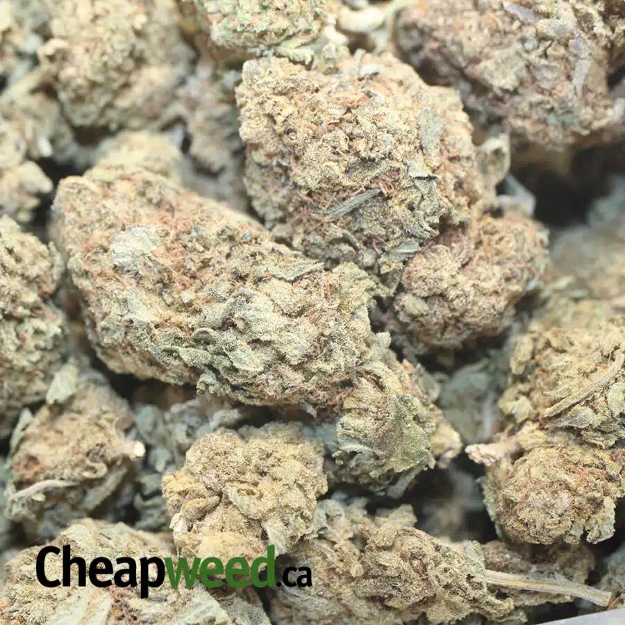 CHEAP WEED SATIVA 1 I Cheap Sativa AA+