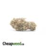 Cheap Sativa AA+