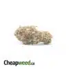 Cheap Sativa AA+