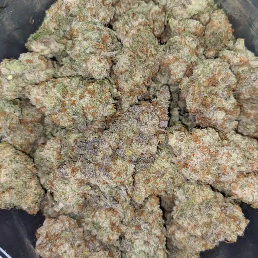 DOLATO 1 I $109 Oz - Dolato