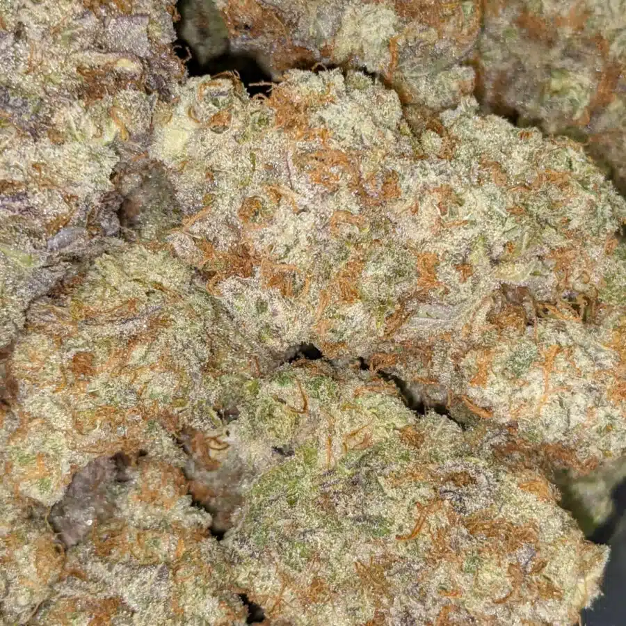 DOLATO 2 I $109 Oz - Dolato