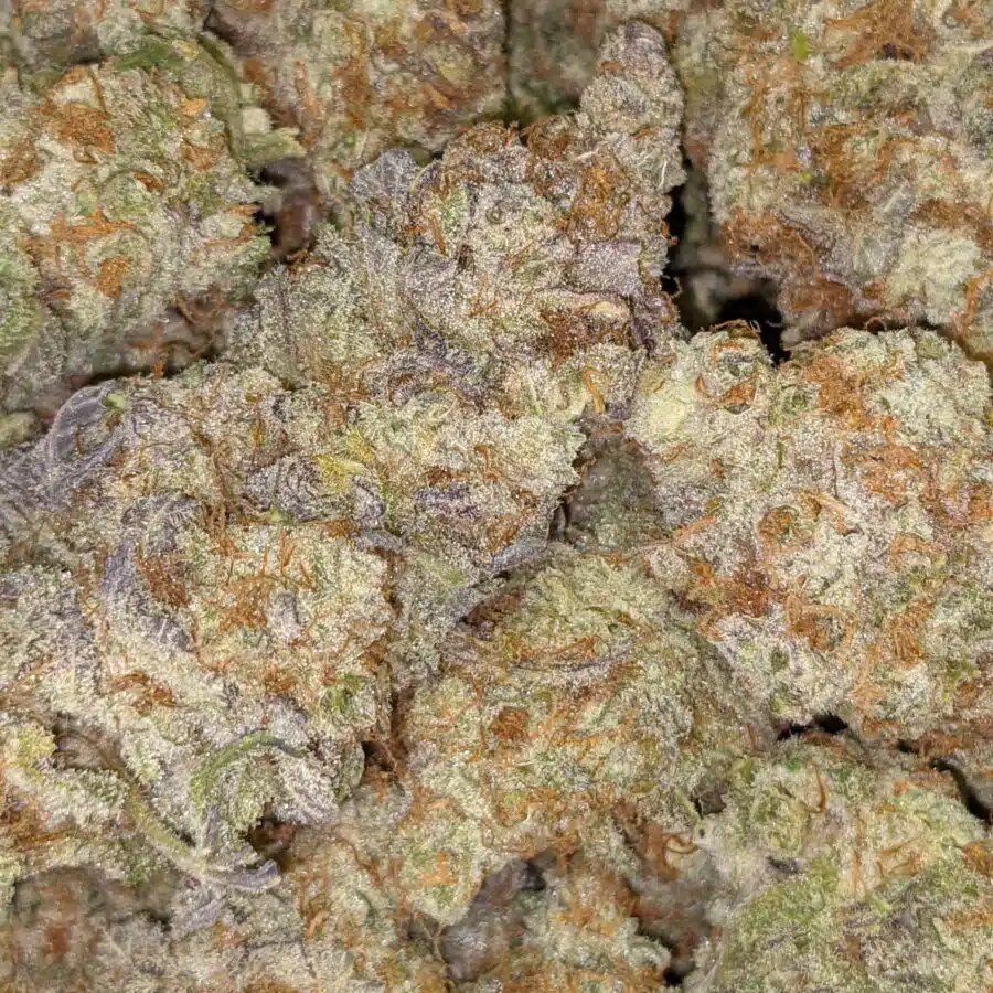 DOLATO 3 I $109 Oz - Dolato
