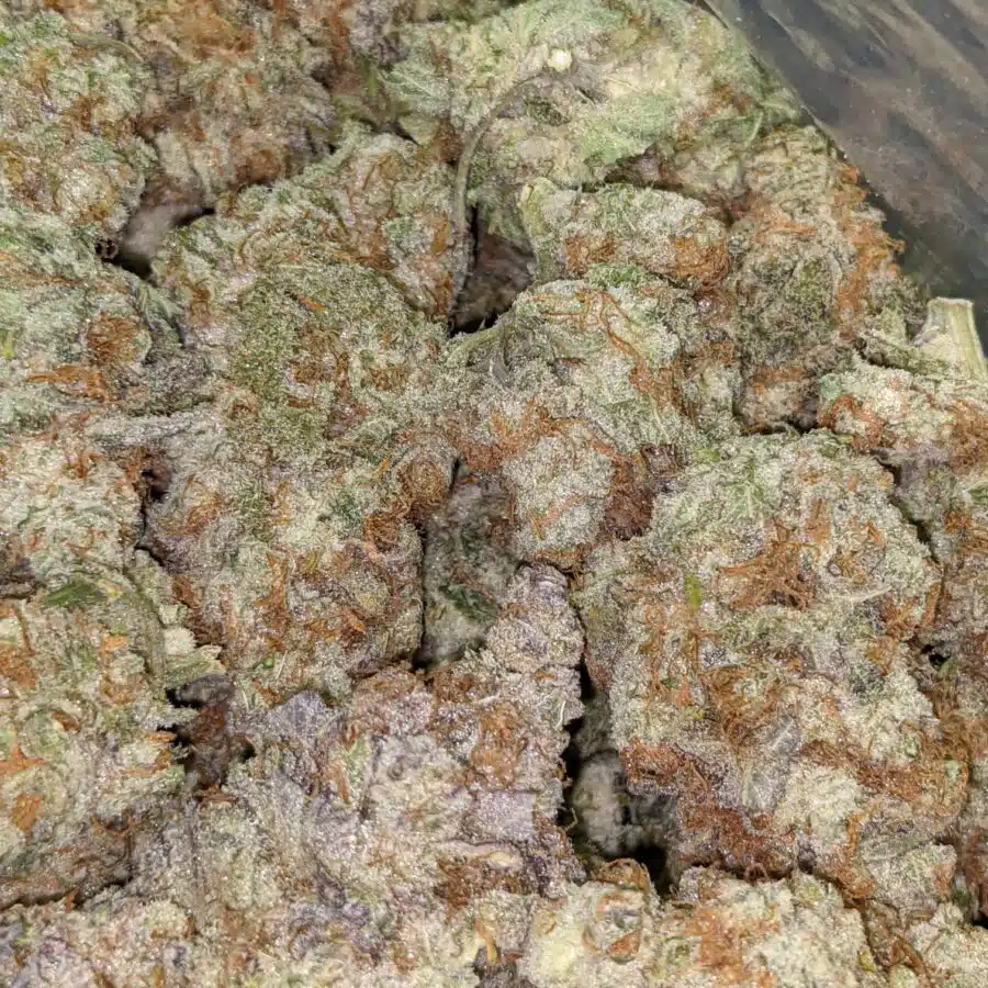 DOLATO 5 I $109 Oz - Dolato