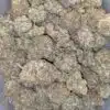 Earl Grey - *Deal of the Day*