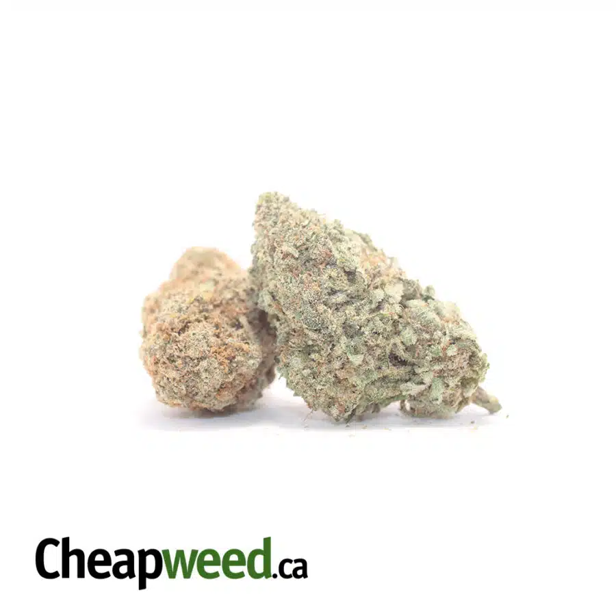 G 46 6 I Larry OG AAA