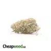 $69 Oz - XJ-13