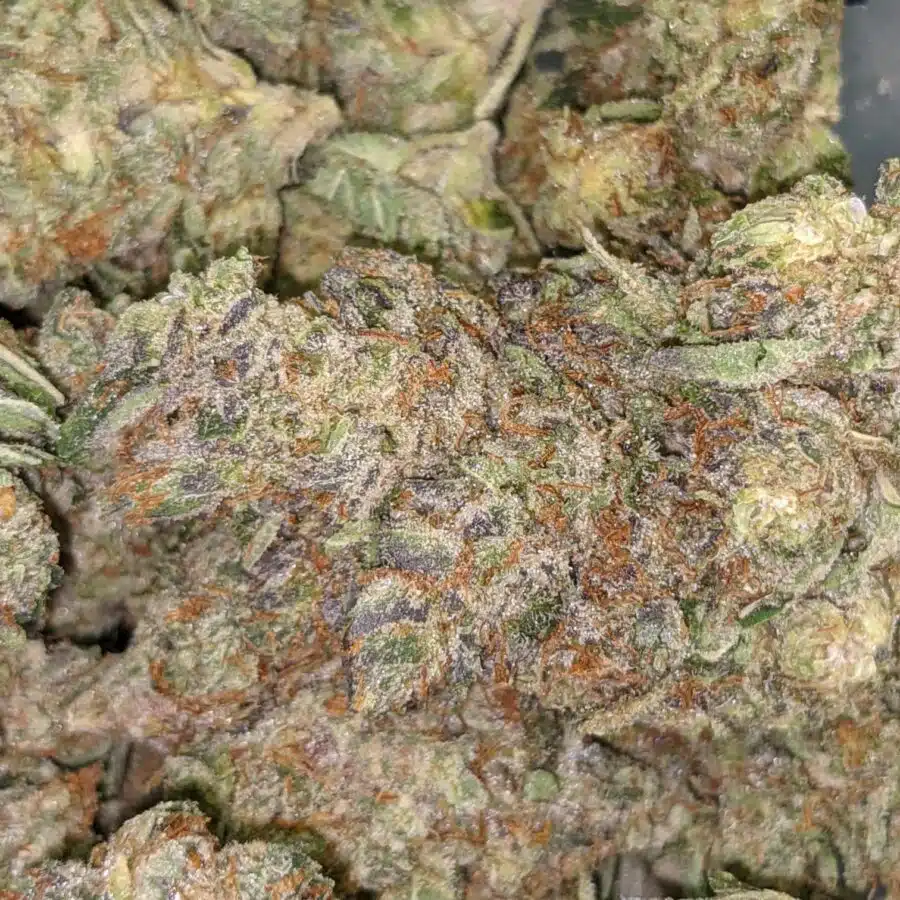 GHOST BUBBA 4 I $99 Oz - Khalifa Kush