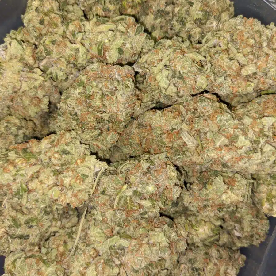 GUAVA CAKE 1 I $99 Oz - Guava Cake
