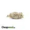 $99 Oz - Guava Cake