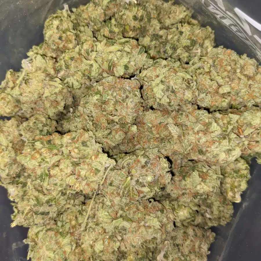 GUAVA CAKE 2 I $99 Oz - Guava Cake