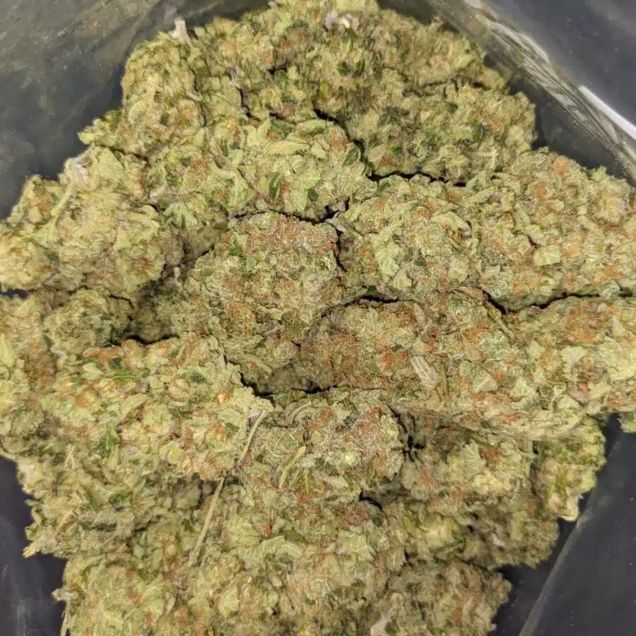 GUAVA CAKE 3 I $99 Oz - Guava Cake