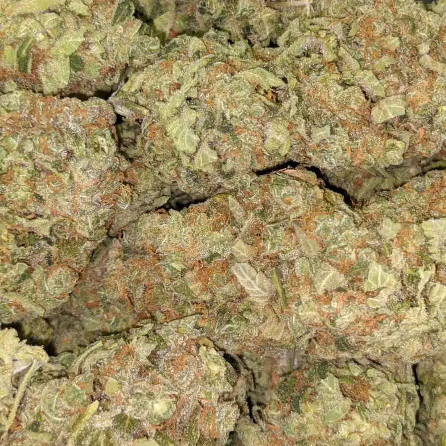GUAVA CAKE 4 I $99 Oz - Guava Cake