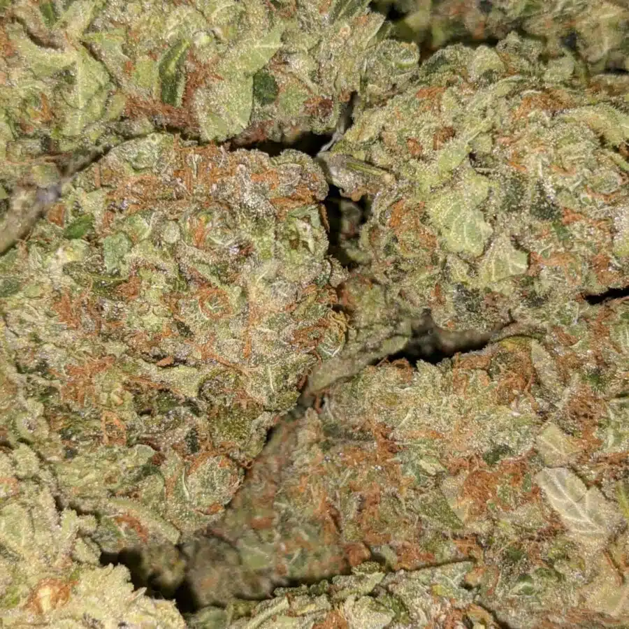 GUAVA CAKE 5 I $99 Oz - Guava Cake