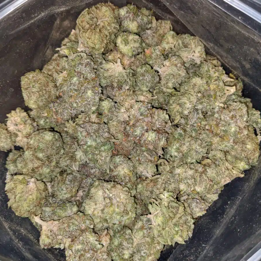 HAWAIIAN PINEAPPLE 1 I Hawaiian Pineapple - *Deal Of The Day*