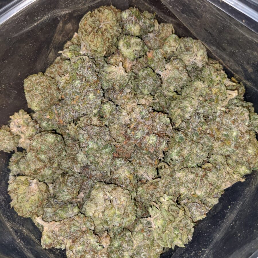 HAWAIIAN PINEAPPLE 2 I Hawaiian Pineapple - *Deal Of The Day*