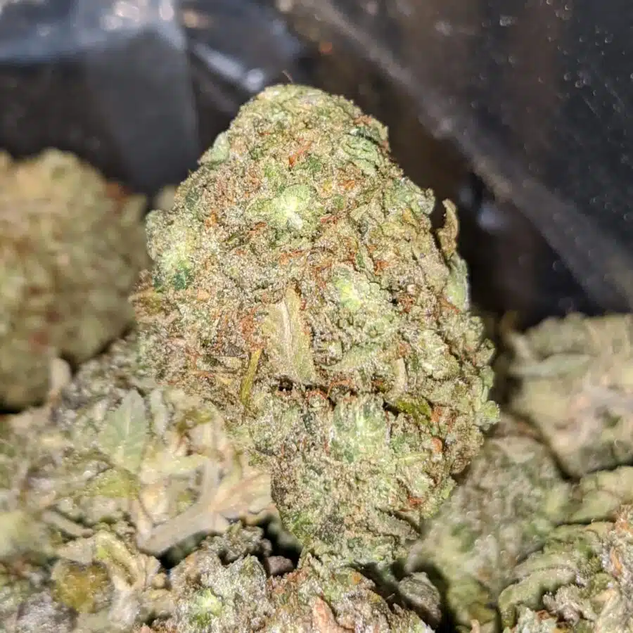 HAWAIIAN PINEAPPLE 3 I Hawaiian Pineapple - *Deal Of The Day*