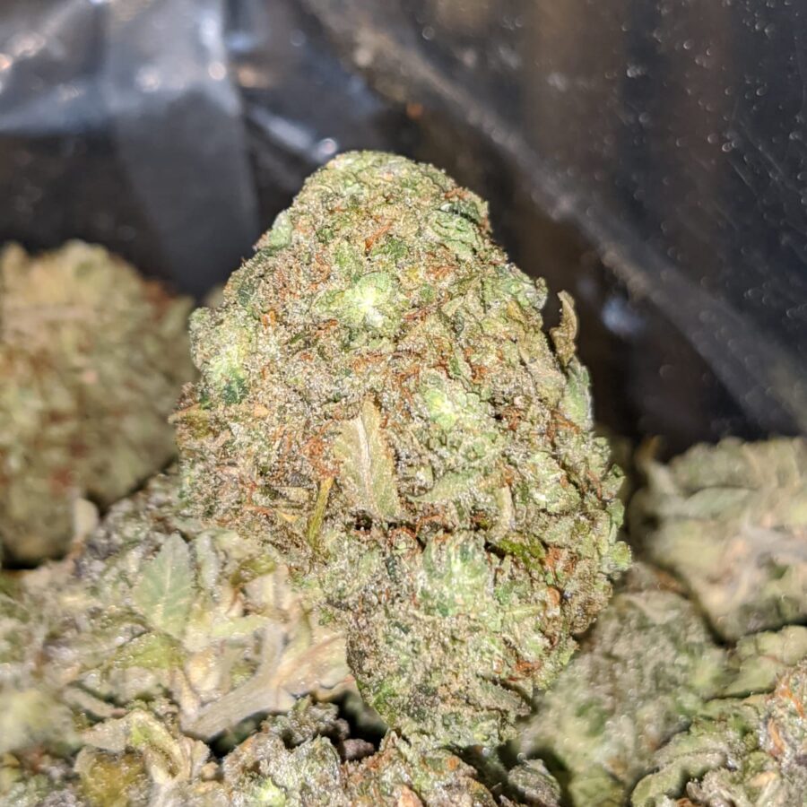 HAWAIIAN PINEAPPLE 4 I Hawaiian Pineapple - *Deal Of The Day*