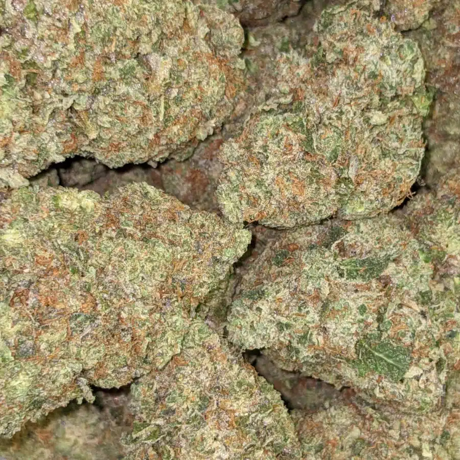 HIGH SCHOOL SWEETHEART 1 I $119 Oz - High School Sweetheart