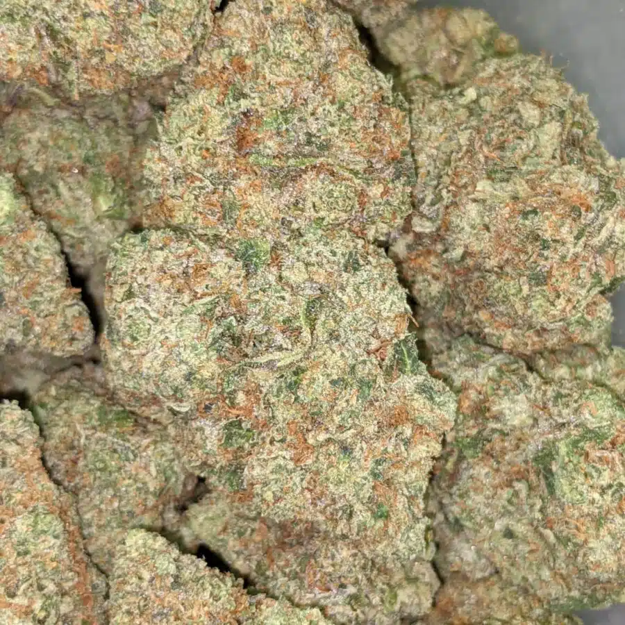 HIGH SCHOOL SWEETHEART 2 I $119 Oz - High School Sweetheart