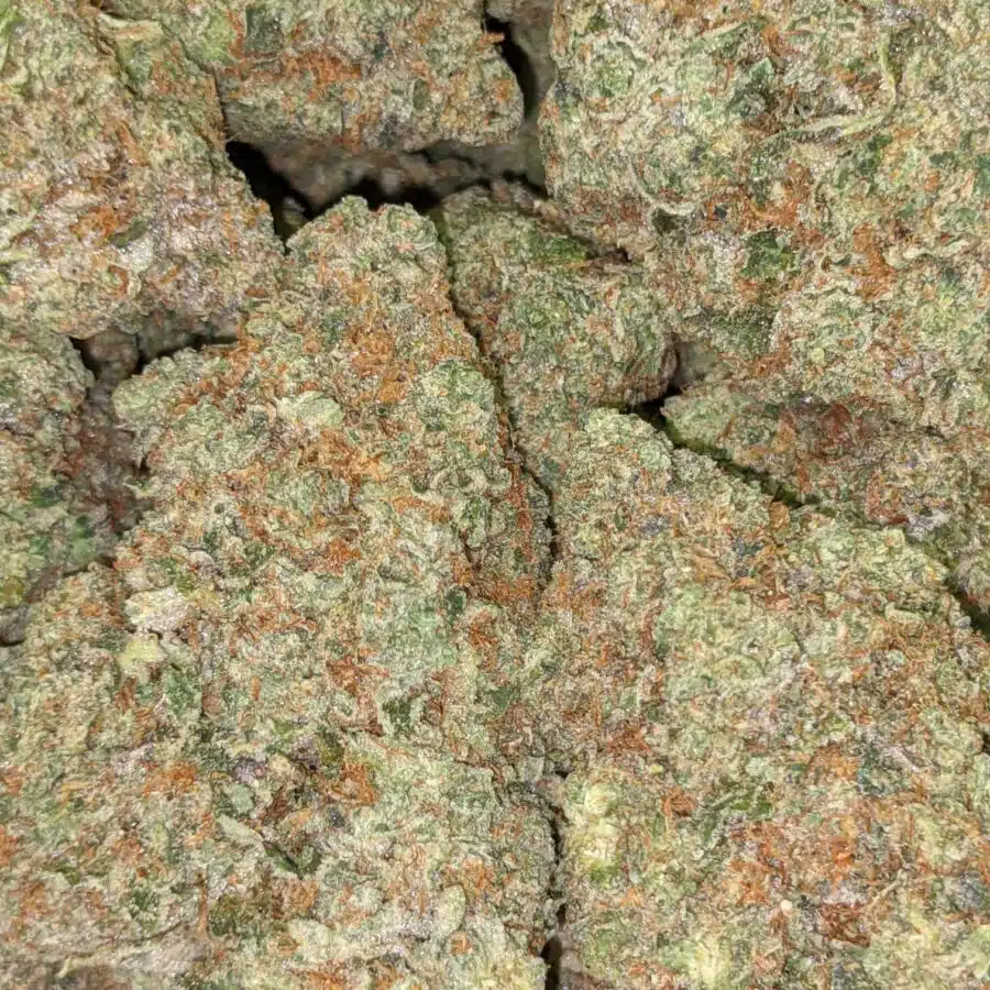 HIGH SCHOOL SWEETHEART 3 I $119 Oz - High School Sweetheart
