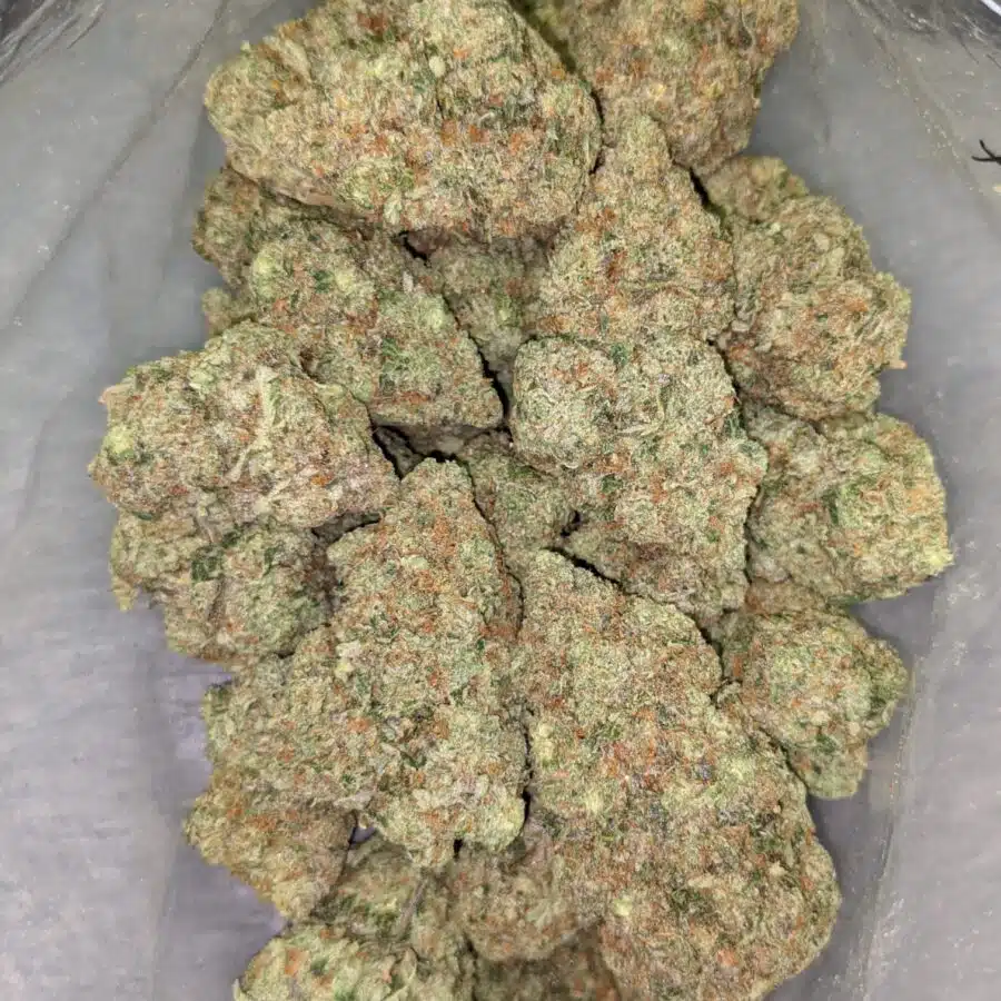HIGH SCHOOL SWEETHEART 4 I $119 Oz - High School Sweetheart