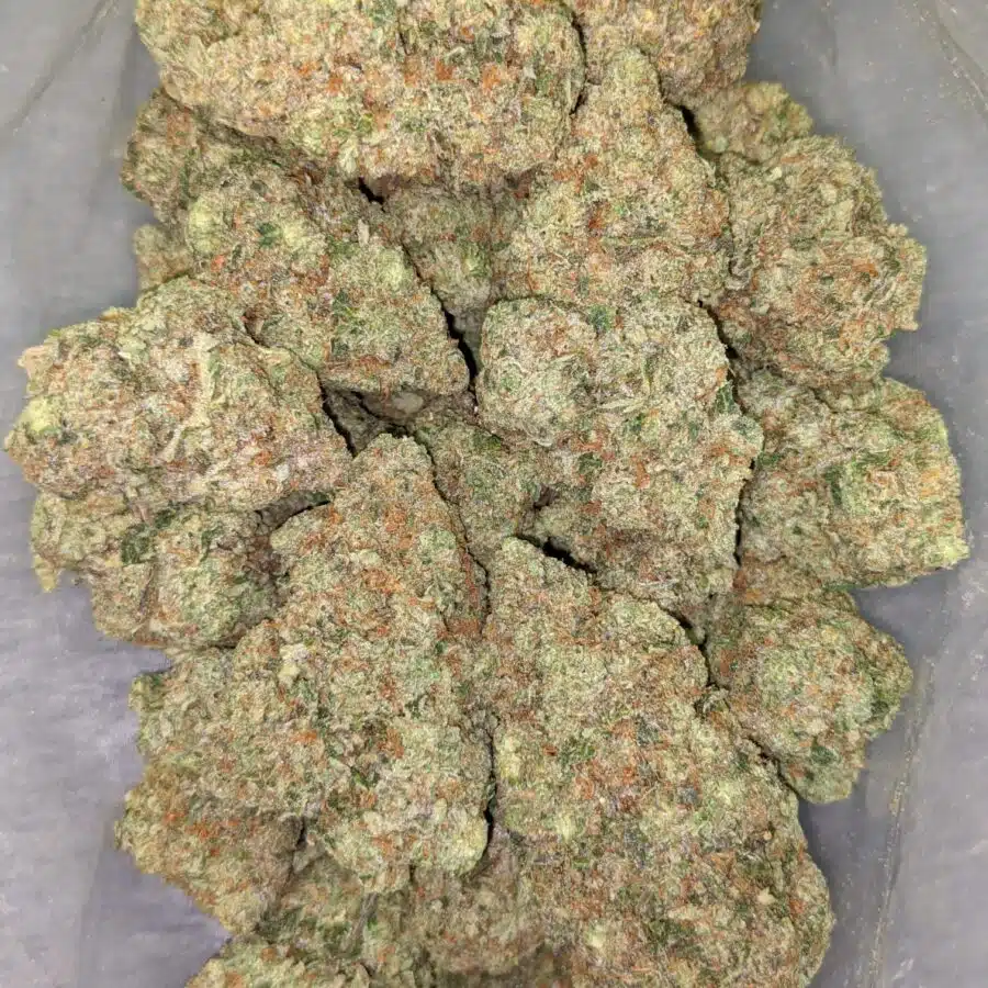 HIGH SCHOOL SWEETHEART 5 I $119 Oz - High School Sweetheart