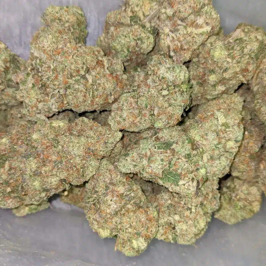 HIGH SCHOOL SWEETHEART 7 I $119 Oz - High School Sweetheart