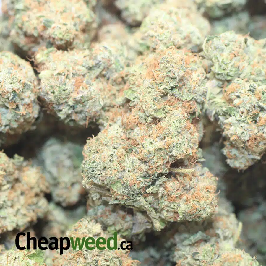HIGHSCHOOL SWEET HEART 1 I $119 Oz - High School Sweetheart