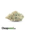 $119 Oz - High School Sweetheart