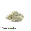 $119 Oz - High School Sweetheart