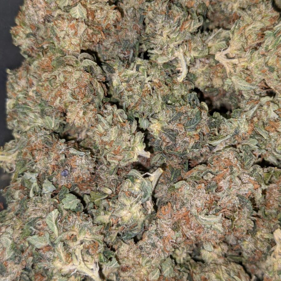 HINDU KUSH 2 I $69 Oz - Hindu Kush