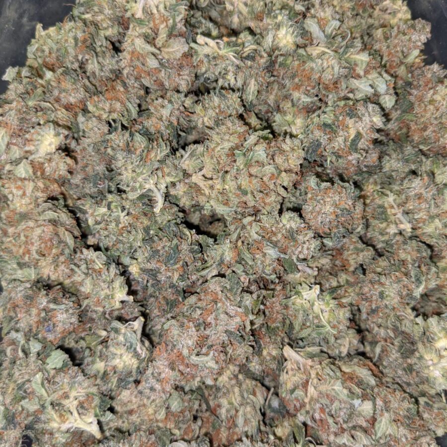 HINDU KUSH 3 I $69 Oz - Hindu Kush