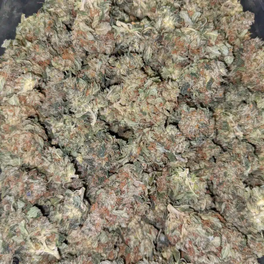 HINDU KUSH 3 I $69 Oz - Hindu Kush
